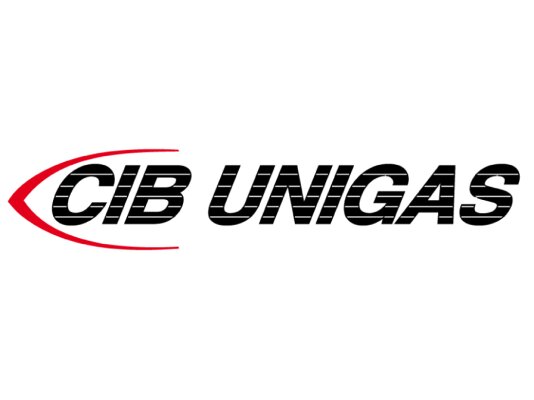 Motor CIB Unigas 71-2P-B3/B14 550W
