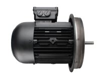 Motor eléctrico Weishaupt W-D112/140-2/3K0, art: 25171707010