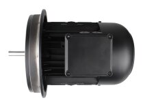 Motor eléctrico Weishaupt W-D112/140-2/3K0