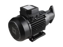 Motor eléctrico Simel 44/6 IE2