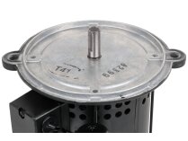 Motor eléctrico ACC 450W 13011930
