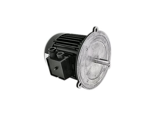 Motor eléctrico HANNING de 550W, art. 13013124