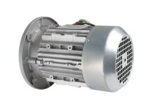 Motor eléctrico CIB Unigas, 218100701