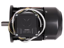 Motor eléctrico CIB Unigas, 218100701
