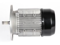 Motor eléctrico Riello, 3014206R