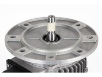 Motor eléctrico Riello, 3014206R