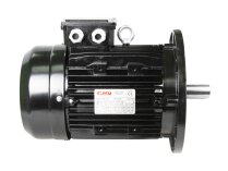 Motor eléctrico Ecoflam 6XM 100L2, 3 kW, 65312555