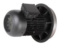 Motor eléctrico Weishaupt W-D132/210-2/10K0