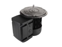 Motor eléctrico Weishaupt 21510407360