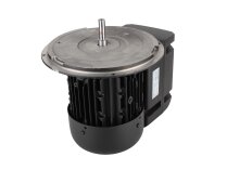 Motor eléctrico Weishaupt 21510407360