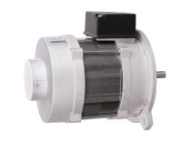 Motor eléctrico Riello RHE RH T 135, 0.74 kW