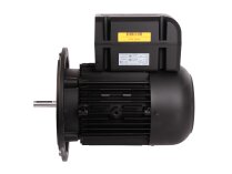 Motor eléctrico Weishaupt WM-D112/140-2/3K5, 21520407030