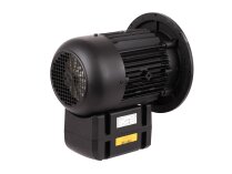 Motor eléctrico Weishaupt WM-D112/140-2/3K5, 21520407030