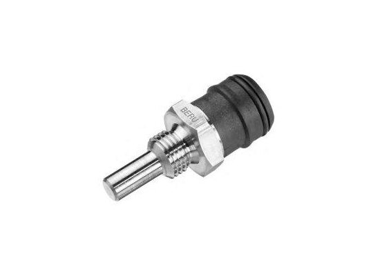 Sensor de temperatura Ecoflam 3122314