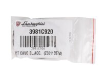 Cable del electrodo de encendido Lamborghini 3981C920